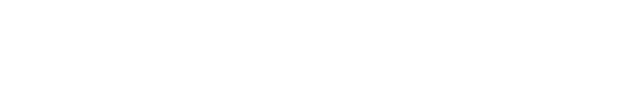 NetraScale Logo